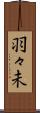 羽々未 Scroll