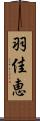 羽佳恵 Scroll