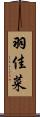 羽佳菜 Scroll
