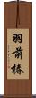 羽前椿 Scroll