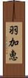 羽加恵 Scroll