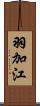 羽加江 Scroll