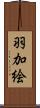 羽加絵 Scroll