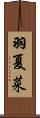 羽夏菜 Scroll