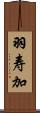 羽寿加 Scroll