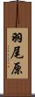 羽尾原 Scroll