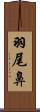 羽尾鼻 Scroll