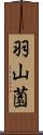 羽山薗 Scroll