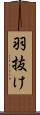 羽抜け Scroll