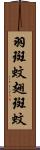 羽斑蚊 Scroll