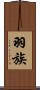 羽族 Scroll