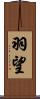 羽望 Scroll