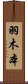 羽木本 Scroll