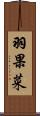 羽果菜 Scroll