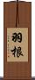 羽根 Scroll