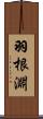 羽根淵 Scroll