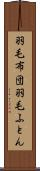 羽毛布団 Scroll