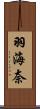 羽海奈 Scroll