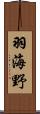 羽海野 Scroll