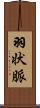 羽状脈 Scroll