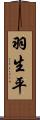 羽生平 Scroll