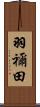 羽禰田 Scroll