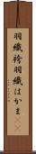 羽織袴 Scroll