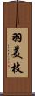 羽美枝 Scroll