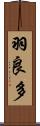 羽良多 Scroll