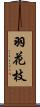 羽花枝 Scroll