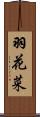 羽花菜 Scroll