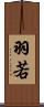羽若 Scroll