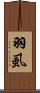羽虱 Scroll