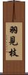 羽見枝 Scroll