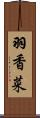 羽香菜 Scroll