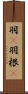 羽(P) Scroll