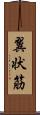 翼状筋 Scroll