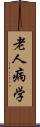 老人病学 Scroll