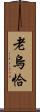 老烏恰 Scroll