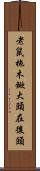 老鼠拖木鍁，大頭在後頭 Scroll