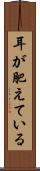 耳が肥えている Scroll