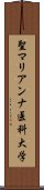 聖マリアンナ医科大学 Scroll