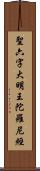 聖六字大明王陀羅尼經 Scroll