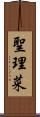 聖理菜 Scroll