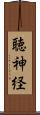 聴神経 Scroll