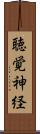 聴覚神経 Scroll