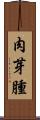 肉芽腫 Scroll