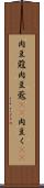 肉豆蒄 Scroll