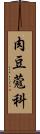 肉豆蔻科 Scroll