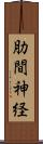 肋間神経 Scroll